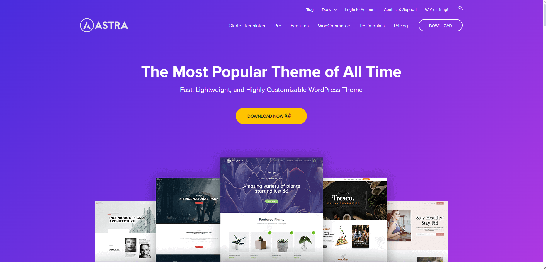 Best WordPress Themes 