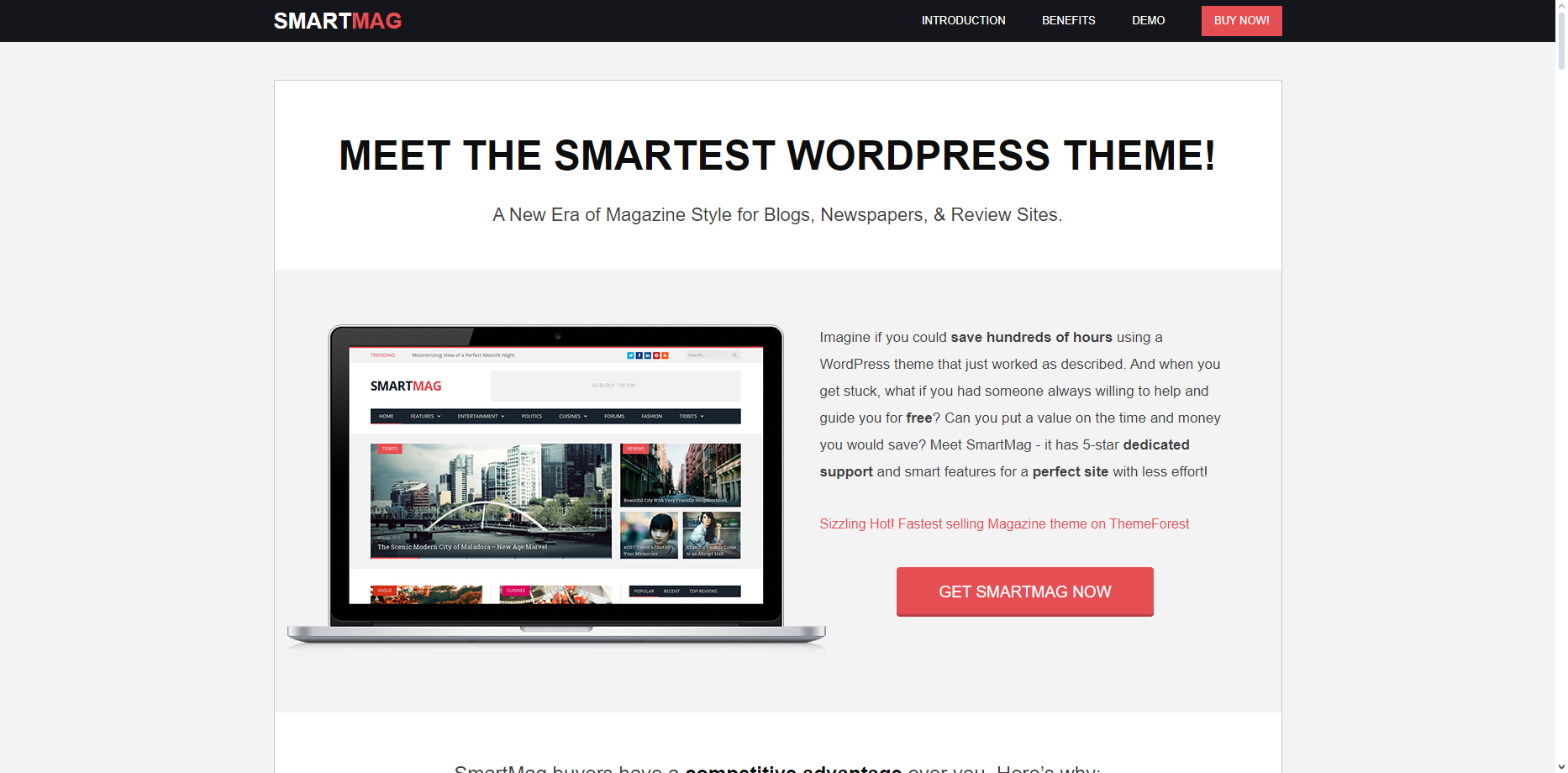 Best WordPress Themes