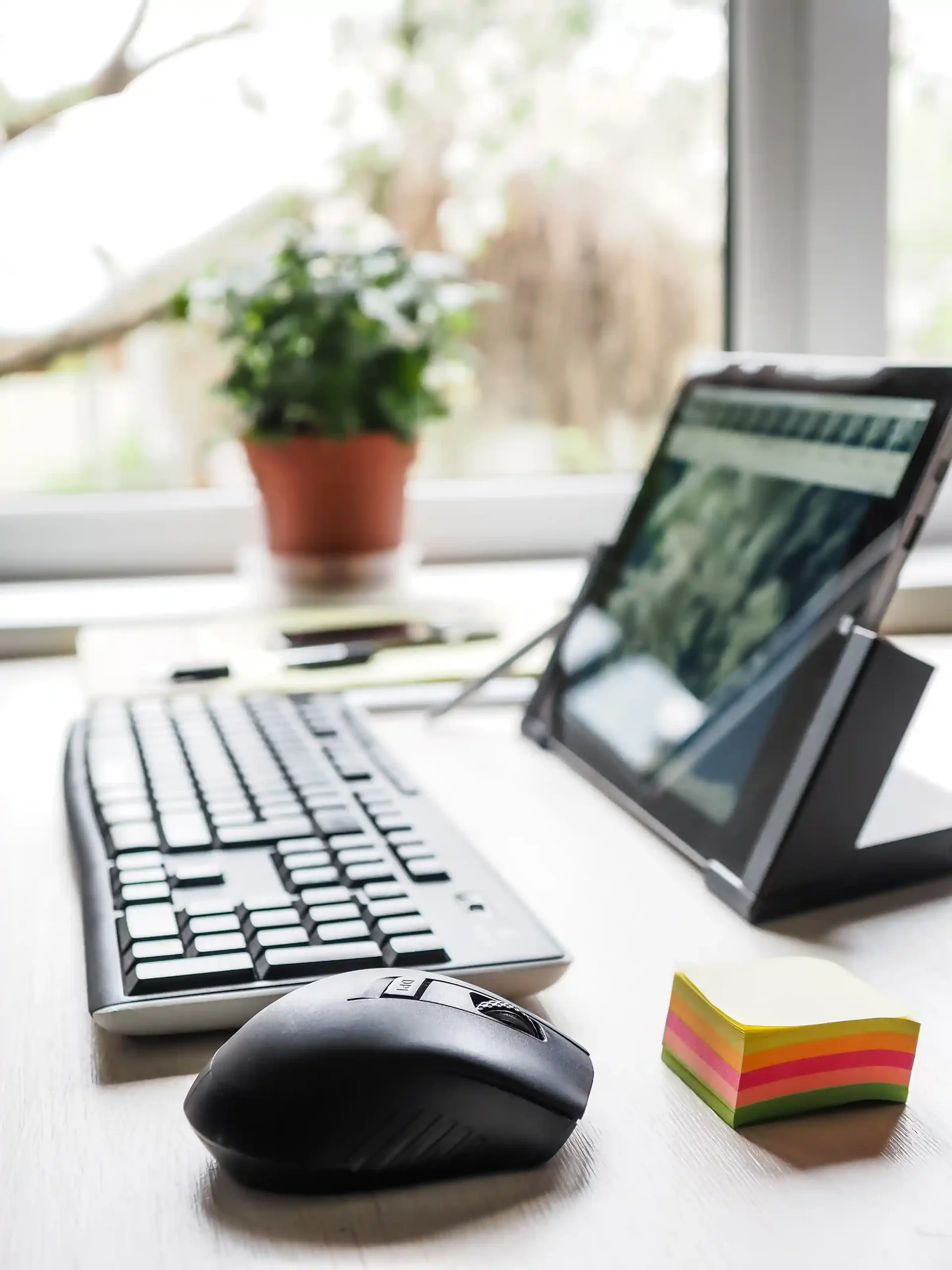 WordPress Website Development