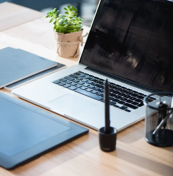 WordPress Care Service